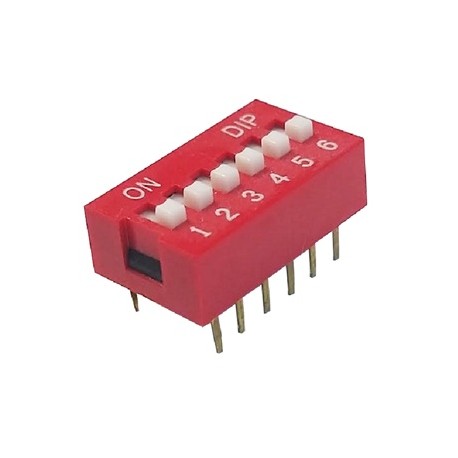 DIP-6R