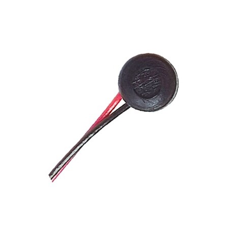 MIC-31