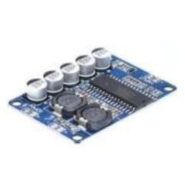 AR-AMP21