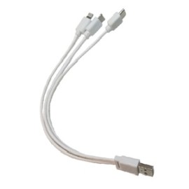CA-3EN1