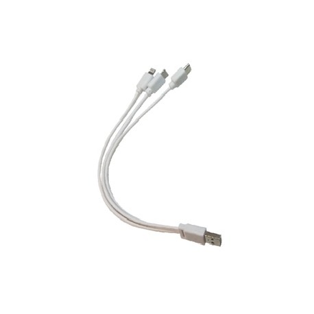 CA-3EN1