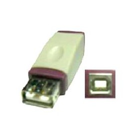CC20