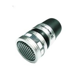 REP-MIC