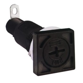 PF19-2
