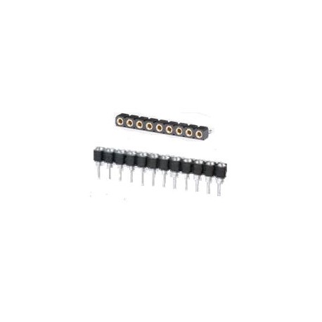 BASE-L40