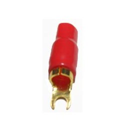 TER206R
